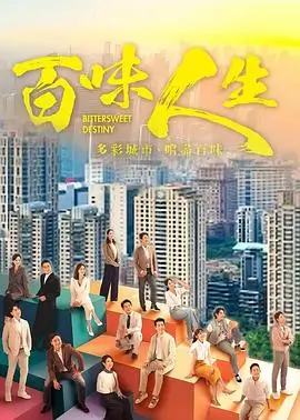 长风渡海 古装权谋电视剧高清封面